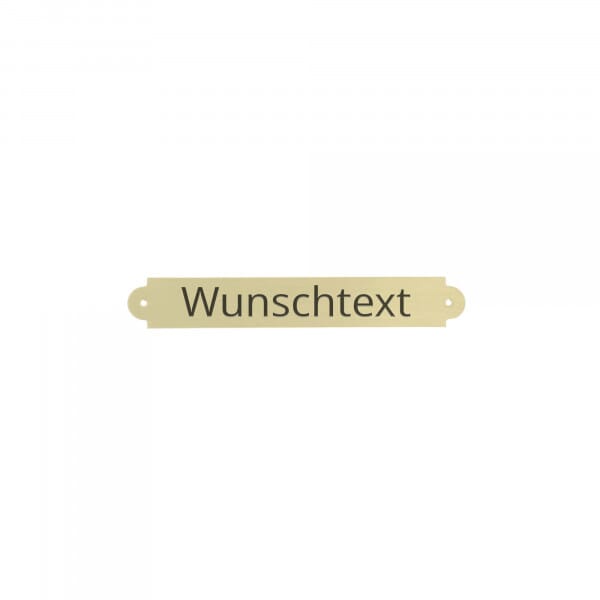 Gemäldeschild aus Messing – gold gebürstet 65 × 10 mm