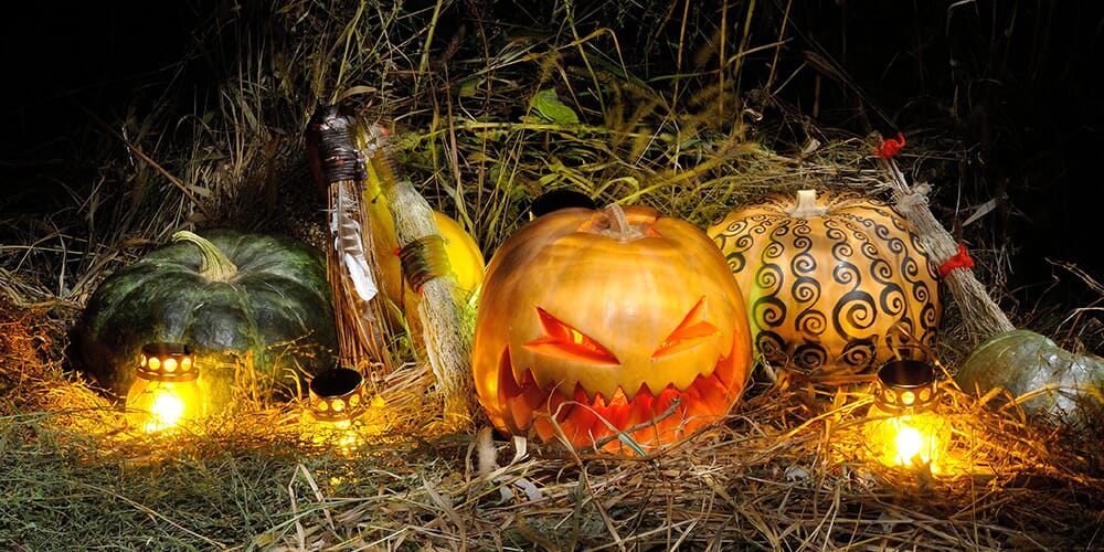 TRICK OR TREAT Kinder Pullover Graveyard Halloween Samhain USA Creature Kürbis