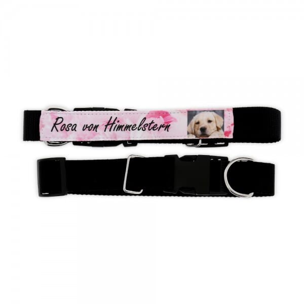 Tierhalsband (44-58 cm Umfang) inkl. Druck